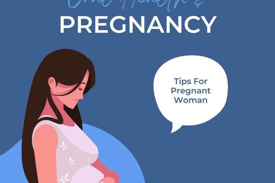 Pregnancy’s Impact on Oral Health